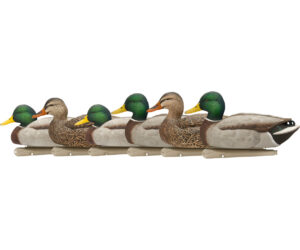 AvianX Top Flight Duck Decoys Open Water Mallard 6 pk.