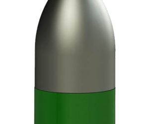 Powerbelt Lead Bullets 50 Cal. 295 gr. HP 20 pk.