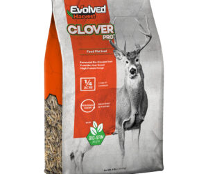 Evolved Clover Seed 2 lb.