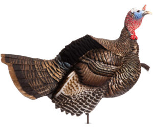 Dave Smith Decoys Posturing Jake Decoy
