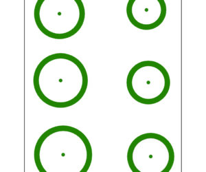 Gunstar Magnum Target Reticle Set Green