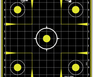 EzAim Splash Sight-In Grid Paper Target 12x12 12 pk.