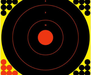 Birchwood Casey Shoot-N-C Target Bullseye 17.25 in. 5 pk.