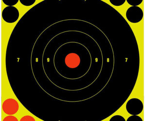 Birchwood Casey Shoot-N-C Target Bullseye 6 in. 60 pk.
