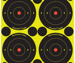 Birchwood Casey Shoot-N-C Target Bullseye 3 in. 48 pk.
