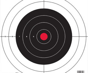 Birchwood Casey EZE-Scorer Target Bullseye 12 in. 13 pk.