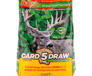 Evolved 5 Card Draw Seed 10 lb.