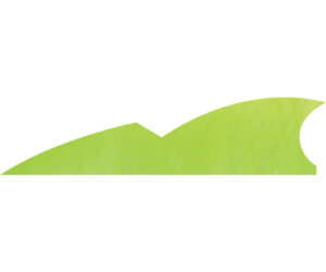 Gateway Batwing Feathers Chartreuse 2 in. RW 50 pk.