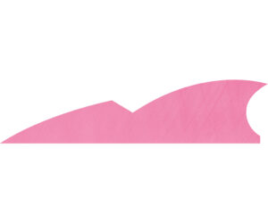 Gateway Batwing Feathers Flo Pink 2 in. RW 50 pk.