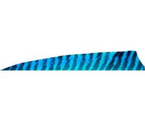 Gateway Shield Cut Feathers Barred Blue 4 in. LW 50 pk.