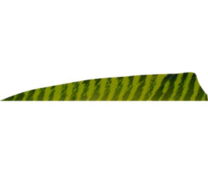 Gateway Shield Cut Feathers Barred Chartreuse 4 in. LW 50 pk.