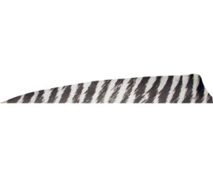 Gateway Shield Cut Feathers Barred White 4 in. LW 50 pk.