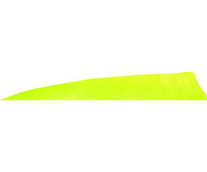 Gateway Shield Cut Feathers Lemon Lime 4 in. LW 50 pk.