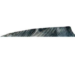 Gateway Shield Cut Feathers Tre Bark 4 in. LW 50 pk.