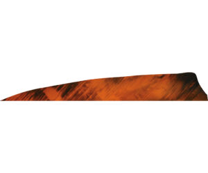 Gateway Shield Cut Feathers Tre Orange 4 in. LW 50 pk.