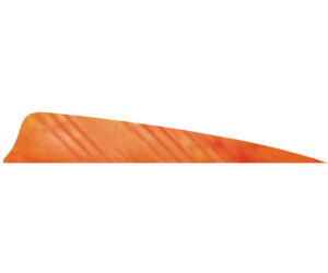 Gateway Shield Cut Feathers Tre White/Orange 4 in. LW 50 pk.