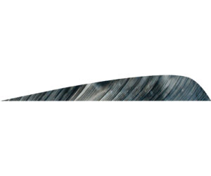 Gateway Parabolic Feathers Tre Bark 4 in. RW 50 pk.