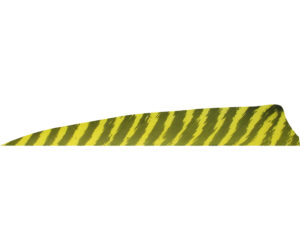 Gateway Shield Cut Feathers Barred Yellow 4 in. RW 50 pk.