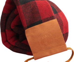 Bear Bow Sock