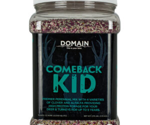 Domain Comeback Kid Seed 1/2 Acre