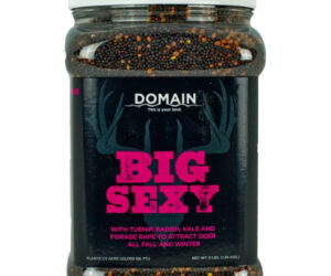 Domain Big Sexy Seed 1/2 Acre