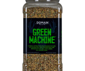 Domain Green Machine Seed 1/4 Acre