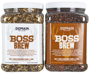 Domain Boss Brew Seed 1/2 Acre