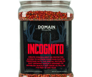 Domain Incoginto Seed 1/4 Acre