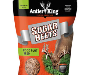 Antler King Sugar Beets Seed 1/8 Acre