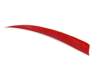 Trueflight Shield Cut Feathers Red 5 in. RW 100 pk.