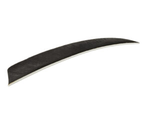 Trueflight Shield Cut Feathers Black 5 in. LW 100 pk.