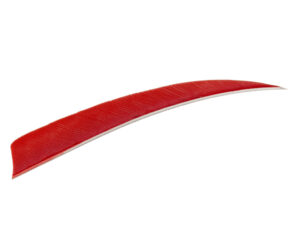 Trueflight Shield Cut Feathers Red 5 in. LW 100 pk.