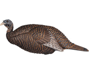 Flextone Thunder Chick Breeder Decoy