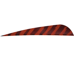 Gateway Barred Feathers Red 4 in. RW 50 pk.