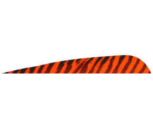 Gateway Barred Feathers Barred Chartreuse 4 in. RW 50 pk.