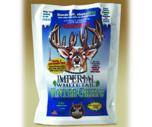 Whitetail Institute Wintergreens Seed 12 lb.