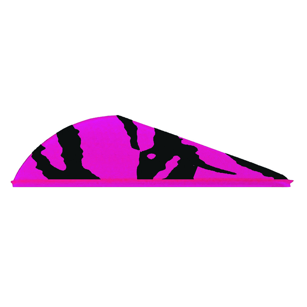 31115_1.jpg