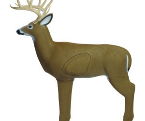 Shooter Buck Target