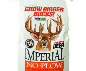 Whitetail Institute No-Plow Wildlife Seed Blend 9 lb.