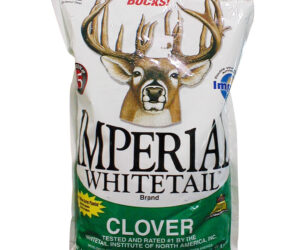 Whitetail Institute Imperial Seed Whitetail Clover .5 Acres 4 lb