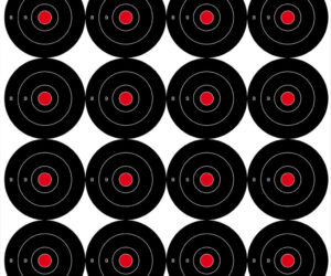 Birchwood Casey Dirty Bird Target Bullseye 3 in. 12 pk.