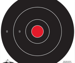 Birchwood Casey Dirty Bird Target Bullseye 12 in. 12 pk.