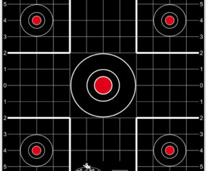 Birchwood Casey Dirty Bird Target Sight-In 12 in. 12 pk.