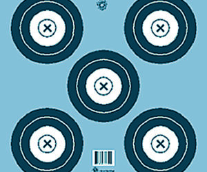 Maple Leaf Target Face NFAA Indoor 5-Spot 100 pk.