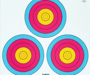 Maple Leaf Target Face FITA 3 Spot Triangle 100 pk.