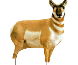 Montana Decoy Antelope Buck