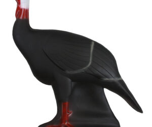 Shooter Turkey Target