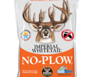 Whitetail Institute No-Plow Wildlife Seed Blend 5 lb.