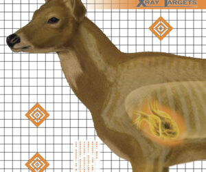 Champion X-Ray Deer Target 25x25 in. 6 pk