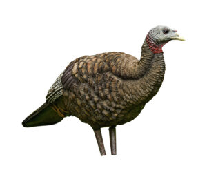 Avian X Breeder Turkey Decoy
